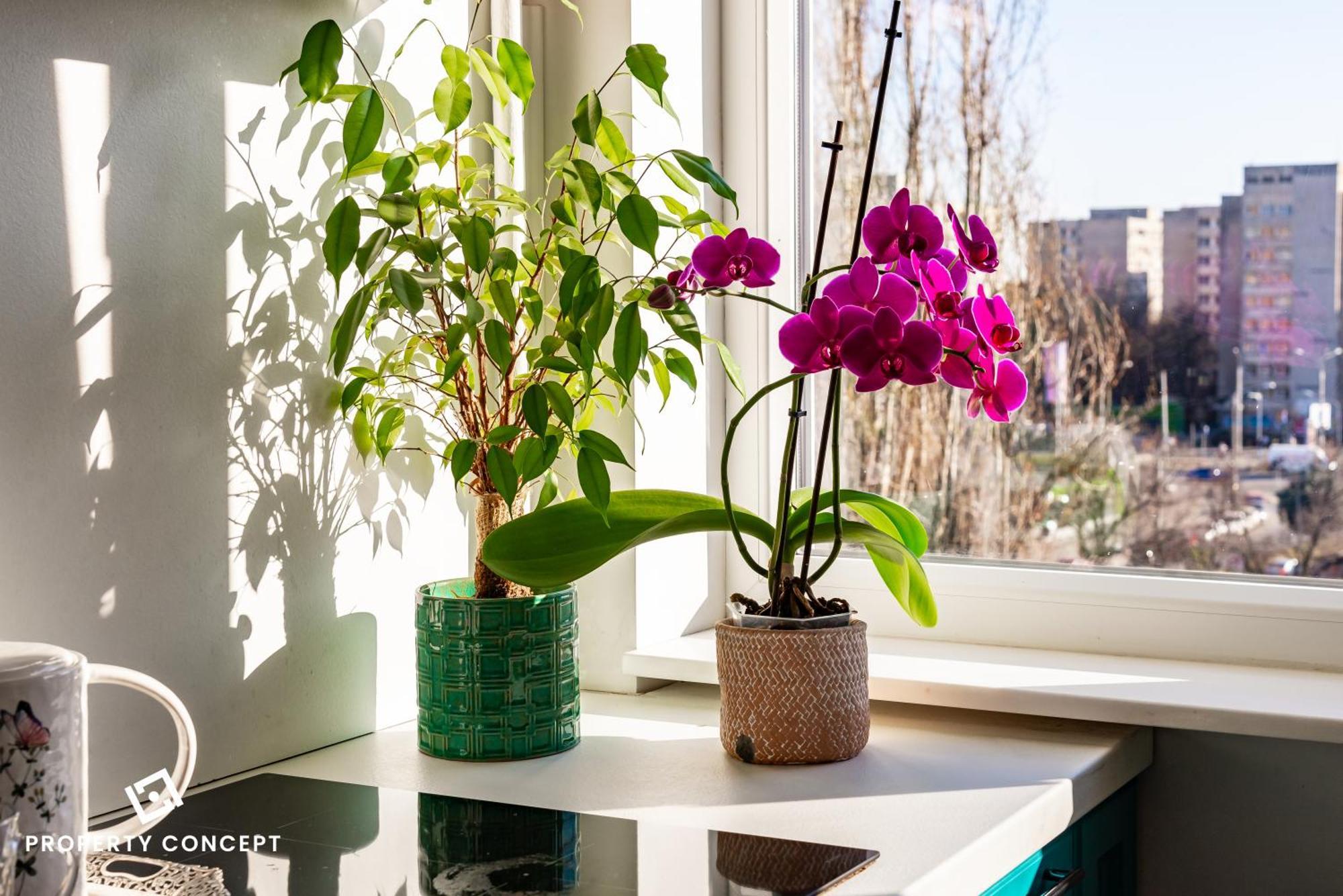 Blissful Retreat Apartment Bukareszt Zewnętrze zdjęcie