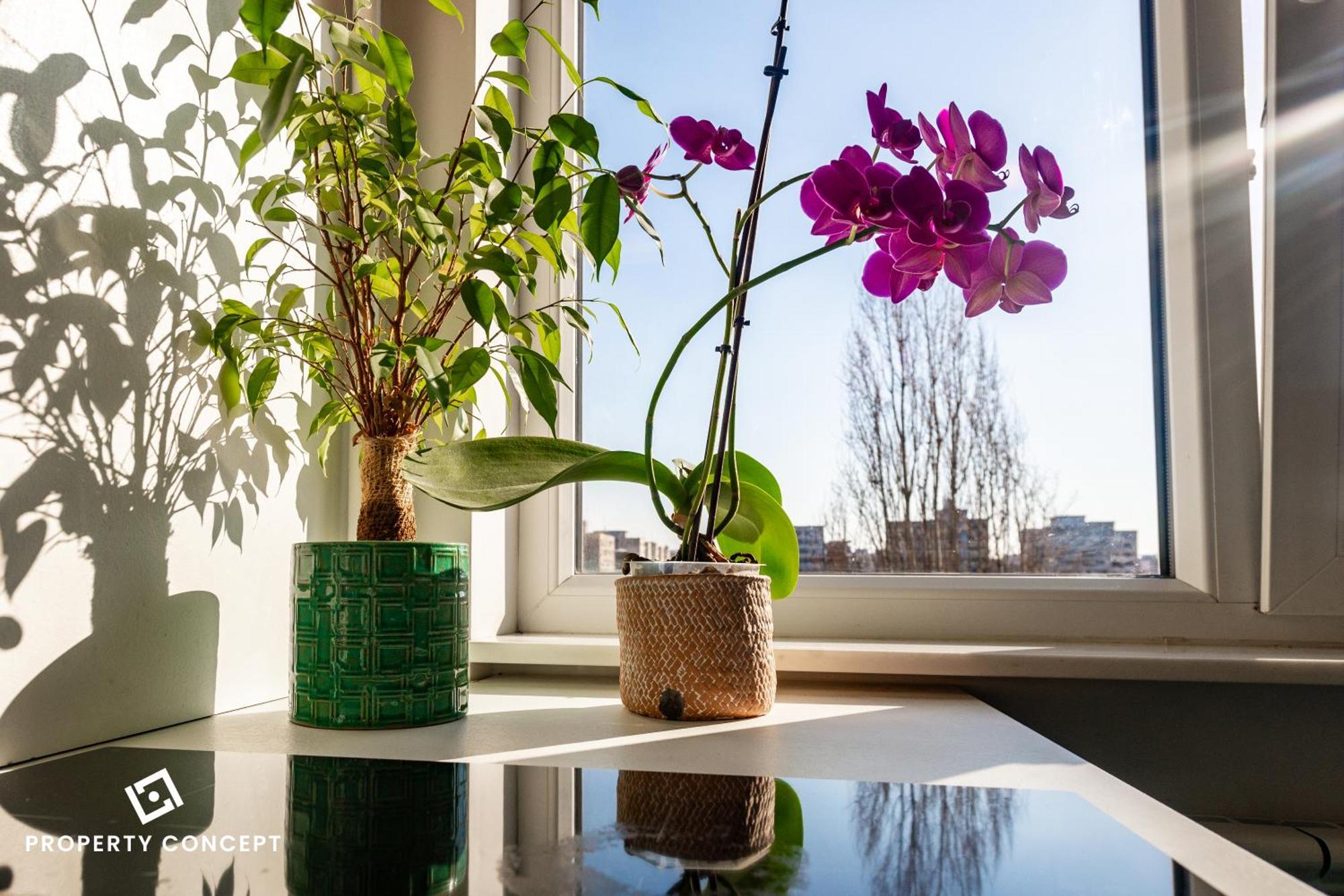 Blissful Retreat Apartment Bukareszt Zewnętrze zdjęcie