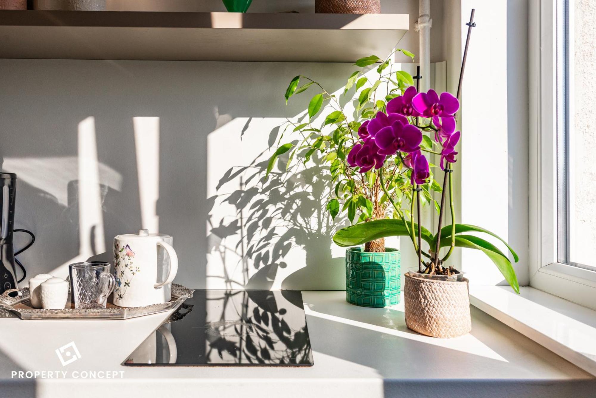 Blissful Retreat Apartment Bukareszt Zewnętrze zdjęcie